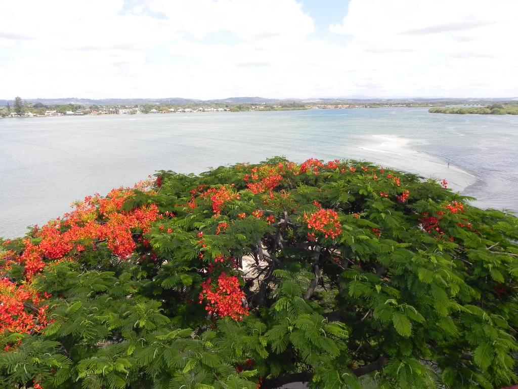 Leisure-Lee Holiday Apartments Ballina Luaran gambar