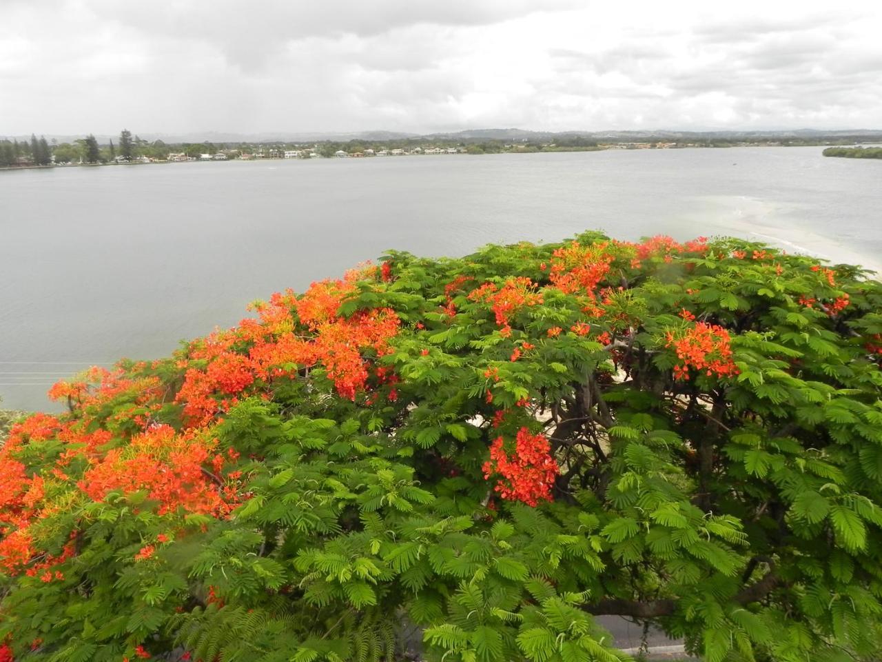 Leisure-Lee Holiday Apartments Ballina Luaran gambar